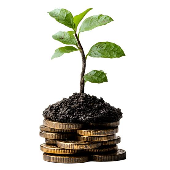 Plant growing out of coins representing steady savings and financial discipline